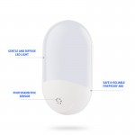 Light sensing LED night light