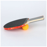 Table Tennis Racket Set 2 balls