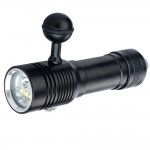 Professional diving fill light