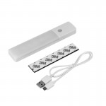 Magnetic stripe portable induction lamp