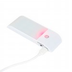 Magnetic stripe portable induction lamp