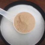 supplement gold standard protein powder