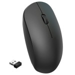 Silent wireless mouse