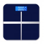 Household electronic scale