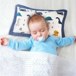 Baby buckwheat pillow