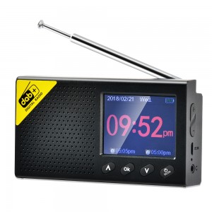Digital Bluetooth LCD DAB radio