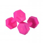 Hexagonal pair of 4kg plastic impregnated dumbbells