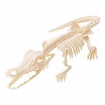 DIY assembled dinosaur skeleton model set of archaeological toys